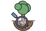 Logo voor het planten, aanplanten of verplanten van bomen in de huisstijl van De Bomeniers